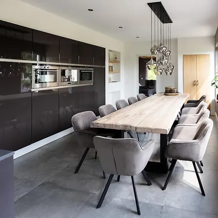 Compleet Nieuw De Berken 别墅 埃德