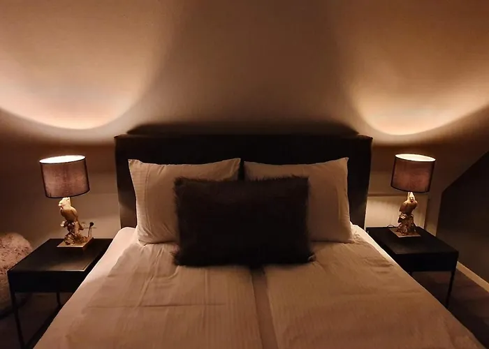 Compleet Nieuw De Berken Villa