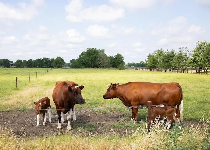 Villa Compleet Nieuw De Berken Ede