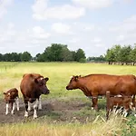 Villa Compleet Nieuw De Berken Ede