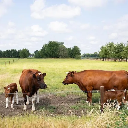 Villa Compleet Nieuw De Berken Ede