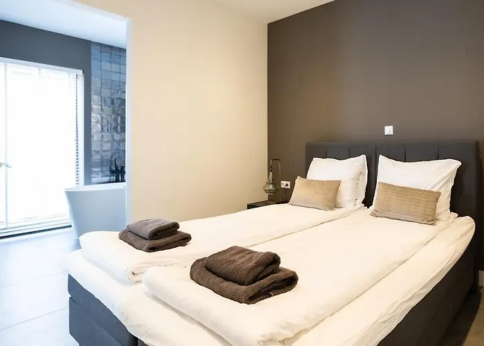 Compleet Nieuw De Berken 빌라